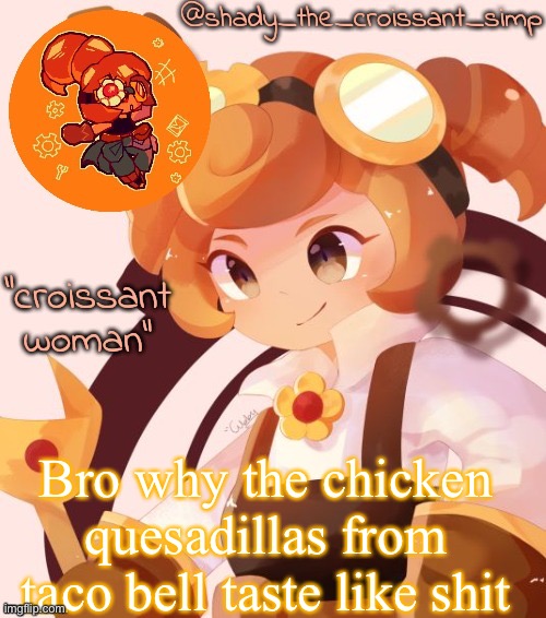Bro why the chicken quesadillas from taco bell taste like shit | image tagged in yet another croissant woman temp thank syoyroyoroi | made w/ Imgflip meme maker