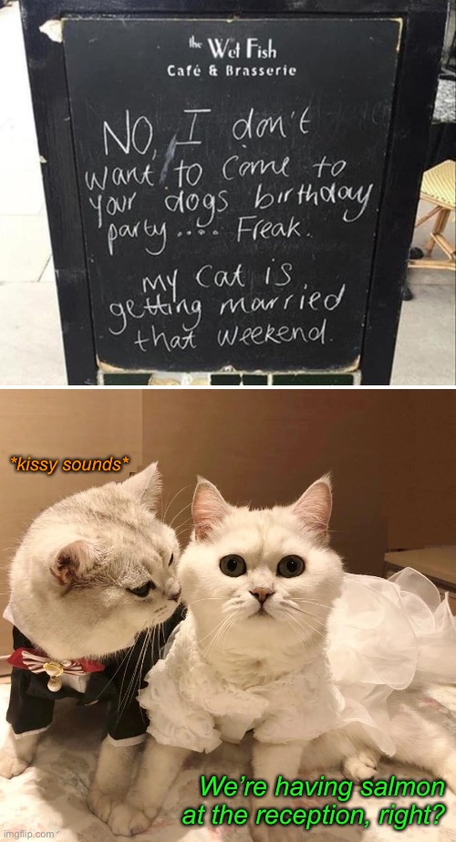 Caturday Wedding | *kissy sounds*; We’re having salmon at the reception, right? | image tagged in funny memes,funny cat memes | made w/ Imgflip meme maker