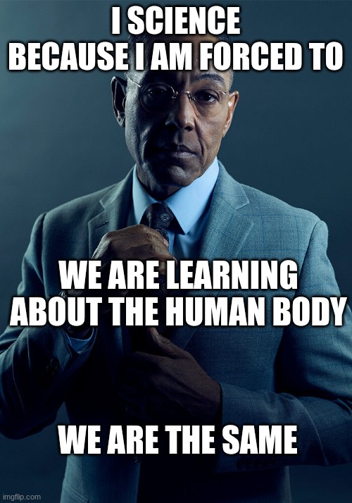 science | I SCIENCE BECAUSE I AM FORCED TO; WE ARE LEARNING ABOUT THE HUMAN BODY; WE ARE THE SAME | image tagged in gus fring we are not the same,simple,science,memes,the human body,funny | made w/ Imgflip meme maker