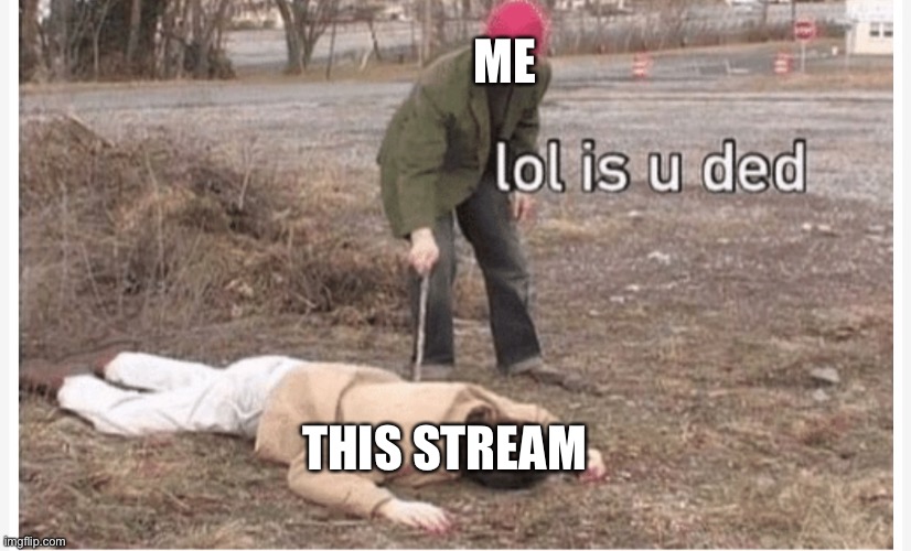 Lol is u ded | ME; THIS STREAM | image tagged in lol is u ded | made w/ Imgflip meme maker