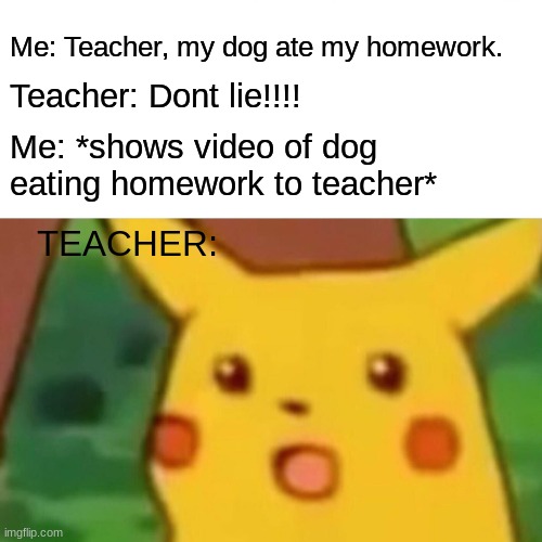 Surprised Pikachu | Me: Teacher, my dog ate my homework. Teacher: Dont lie!!!! Me: *shows video of dog eating homework to teacher*; TEACHER: | image tagged in memes,surprised pikachu | made w/ Imgflip meme maker