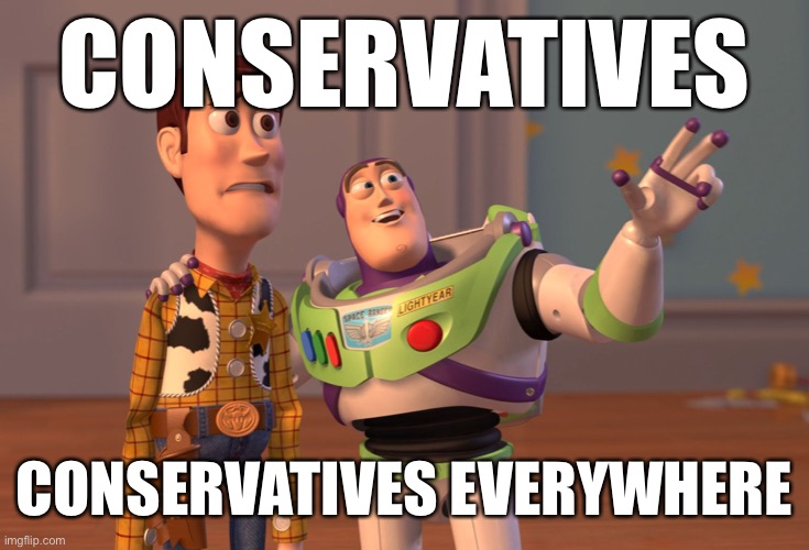 politics stream be like | CONSERVATIVES; CONSERVATIVES EVERYWHERE | image tagged in memes,x x everywhere | made w/ Imgflip meme maker
