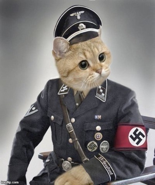 Cat Nazi/Gestopo | image tagged in cat nazi,cat gestopo | made w/ Imgflip meme maker