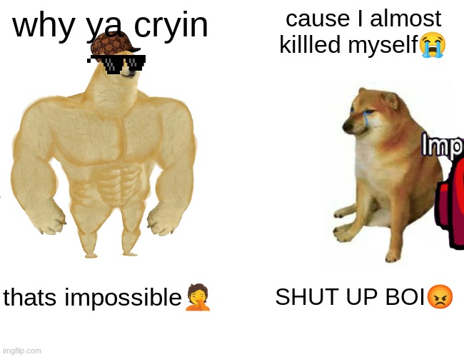 WHEN DOGE IS STUPID AS HECK | why ya cryin; cause I almost killled myself😭; thats impossible🤦; SHUT UP BOI😡 | image tagged in holy shit | made w/ Imgflip meme maker