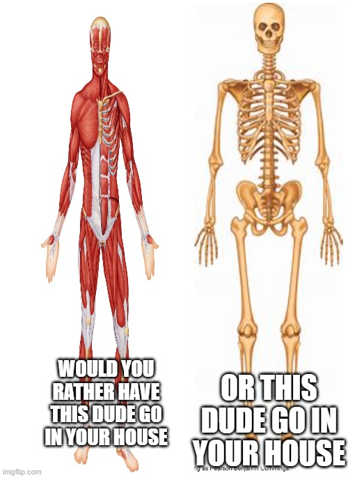 uh skeleton | OR THIS DUDE GO IN YOUR HOUSE; WOULD YOU RATHER HAVE THIS DUDE GO IN YOUR HOUSE | image tagged in muscular,skeleton | made w/ Imgflip meme maker