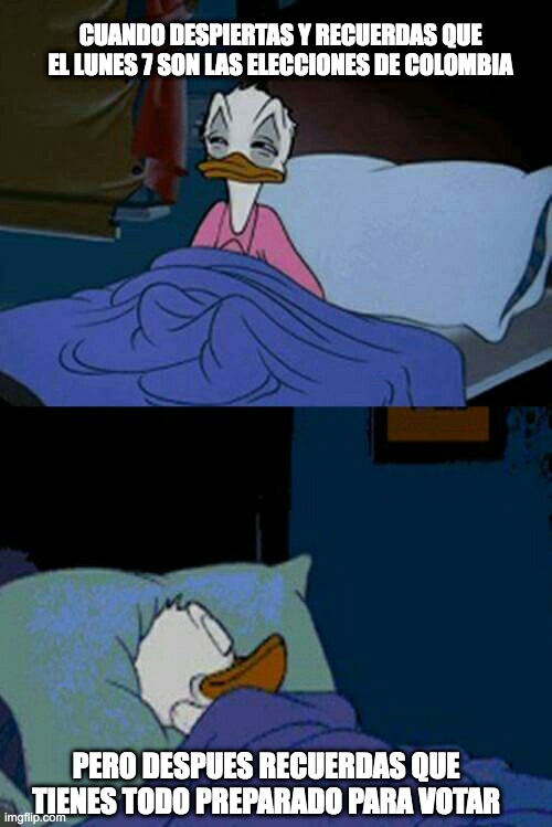 pato donald | CUANDO DESPIERTAS Y RECUERDAS QUE EL LUNES 7 SON LAS ELECCIONES DE COLOMBIA; PERO DESPUES RECUERDAS QUE TIENES TODO PREPARADO PARA VOTAR | image tagged in sleepy donald duck in bed | made w/ Imgflip meme maker