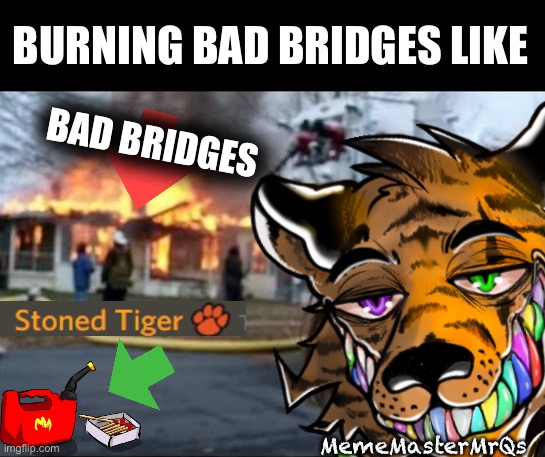 Burn bad bridges | BURNING BAD BRIDGES LIKE; BAD BRIDGES; MemeMasterMrQs | image tagged in burning house girl | made w/ Imgflip meme maker