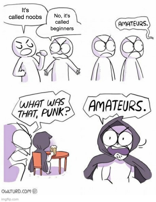 Amateurs | It's called noobs; No, it's called beginners | image tagged in amateurs | made w/ Imgflip meme maker