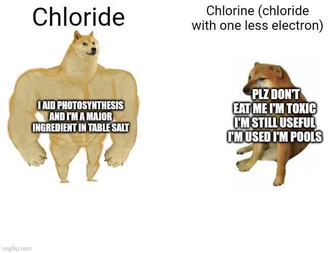 Buff Doge vs. Cheems Meme | Chloride; Chlorine (chloride with one less electron); PLZ DON'T EAT ME I'M TOXIC I'M STILL USEFUL I'M USED I'M POOLS; I AID PHOTOSYNTHESIS AND I'M A MAJOR INGREDIENT IN TABLE SALT | image tagged in memes,buff doge vs cheems | made w/ Imgflip meme maker