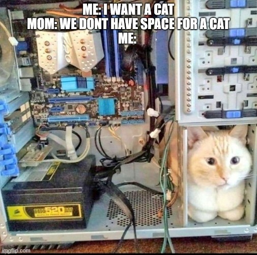 Cat in Gaming PC | image tagged in can't get a cat gaming pc | made w/ Imgflip meme maker