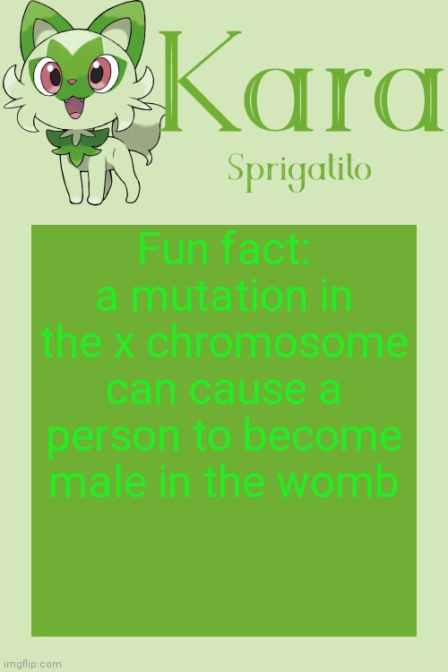 Kara Sprigatito temp | Fun fact: a mutation in the x chromosome can cause a person to become male in the womb | image tagged in kara sprigatito temp | made w/ Imgflip meme maker
