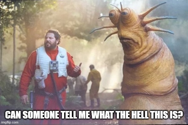 Mystery Creature | CAN SOMEONE TELL ME WHAT THE HELL THIS IS? | image tagged in star wars | made w/ Imgflip meme maker