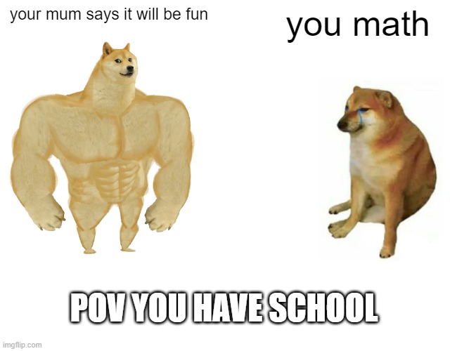 pov school | your mum says it will be fun; you math; POV YOU HAVE SCHOOL | image tagged in memes,buff doge vs cheems | made w/ Imgflip meme maker