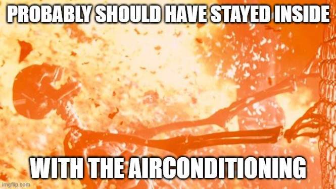Heatwave | PROBABLY SHOULD HAVE STAYED INSIDE; WITH THE AIRCONDITIONING | image tagged in heatwave | made w/ Imgflip meme maker