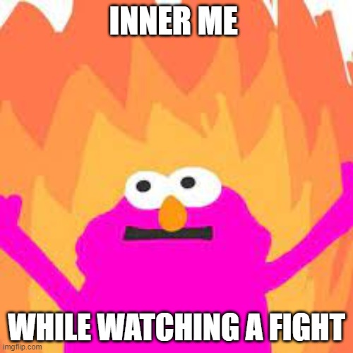 Inner my while watching a fight | INNER ME; WHILE WATCHING A FIGHT | image tagged in funny memes | made w/ Imgflip meme maker