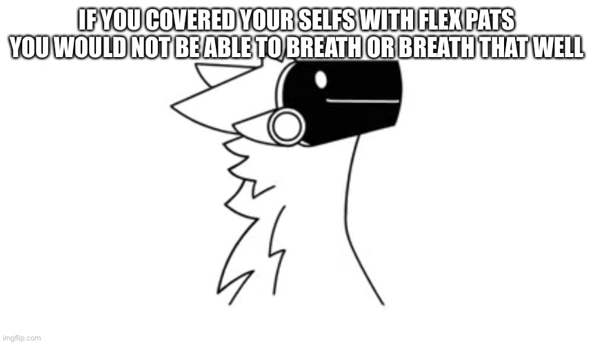 IF YOU COVERED YOUR SELFS WITH FLEX PATS YOU WOULD NOT BE ABLE TO BREATH OR BREATH THAT WELL | image tagged in protogen | made w/ Imgflip meme maker
