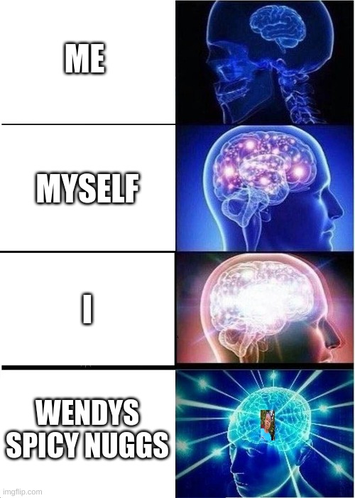Expanding Brain | ME; MYSELF; I; WENDYS SPICY NUGGS | image tagged in memes,expanding brain | made w/ Imgflip meme maker