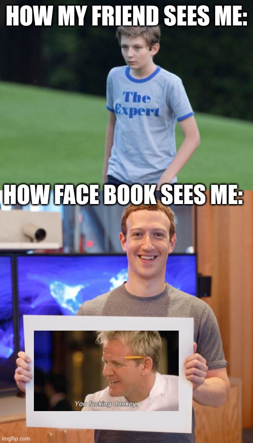 HOW MY FRIEND SEES ME:; HOW FACE BOOK SEES ME: | image tagged in the expert,mark zuckerberg blank sign | made w/ Imgflip meme maker