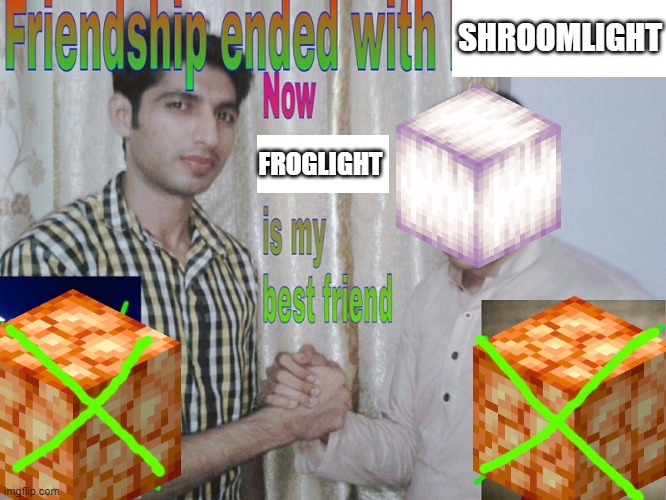 I don't want to play with you anymore | SHROOMLIGHT; FROGLIGHT | image tagged in friendship ended,minecraft,memes | made w/ Imgflip meme maker