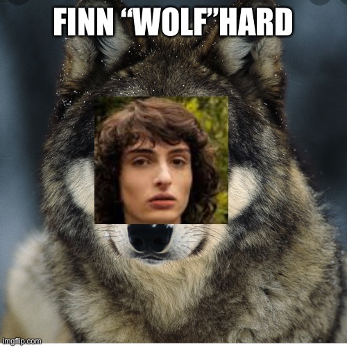 FINN “WOLF”HARD | image tagged in funny | made w/ Imgflip meme maker