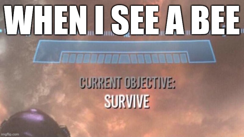 More humor based on my pain | WHEN I SEE A BEE | image tagged in current objective survive,humor based on my pain,bees | made w/ Imgflip meme maker