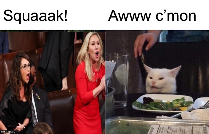 Updated: Women yelling at cat | Squaaak! Awww c’mon | image tagged in woman yelling at cat,memes,funny | made w/ Imgflip meme maker