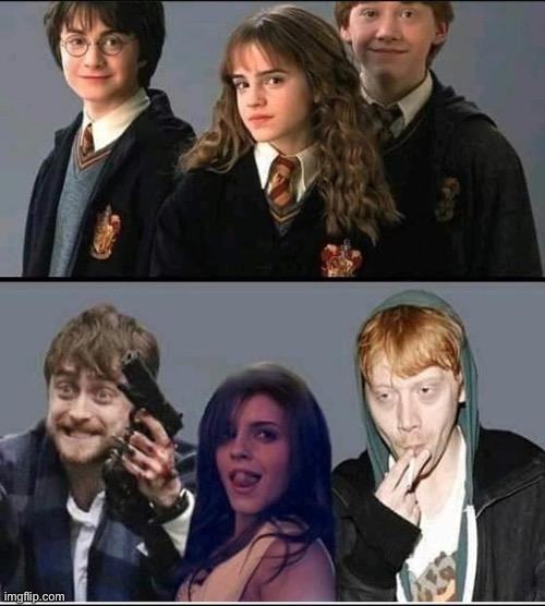 harry potter if it was realistic | made w/ Imgflip meme maker