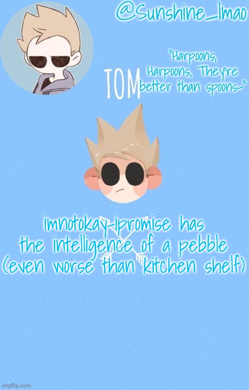 tom :) | imnotokay-ipromise has the intelligence of a pebble (even worse than kitchen shelf) | image tagged in tom | made w/ Imgflip meme maker