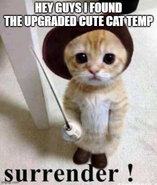 surrender | HEY GUYS I FOUND THE UPGRADED CUTE CAT TEMP | image tagged in surrender | made w/ Imgflip meme maker