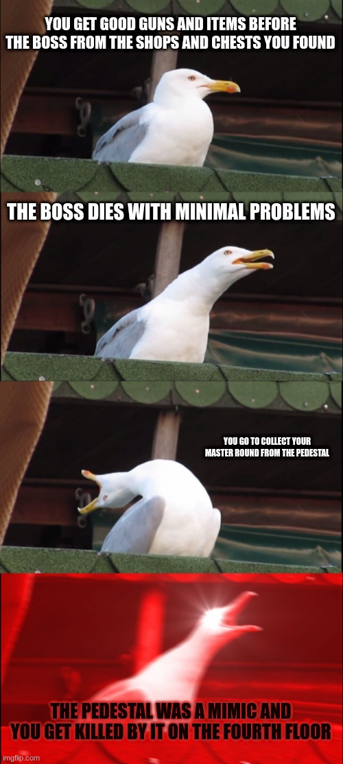 Inhaling Seagull | YOU GET GOOD GUNS AND ITEMS BEFORE THE BOSS FROM THE SHOPS AND CHESTS YOU FOUND; THE BOSS DIES WITH MINIMAL PROBLEMS; YOU GO TO COLLECT YOUR MASTER ROUND FROM THE PEDESTAL; THE PEDESTAL WAS A MIMIC AND YOU GET KILLED BY IT ON THE FOURTH FLOOR | image tagged in memes,inhaling seagull | made w/ Imgflip meme maker