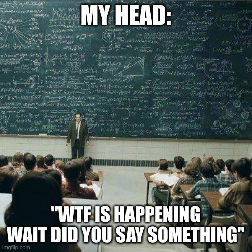 School | MY HEAD:; "WTF IS HAPPENING WAIT DID YOU SAY SOMETHING" | image tagged in school | made w/ Imgflip meme maker