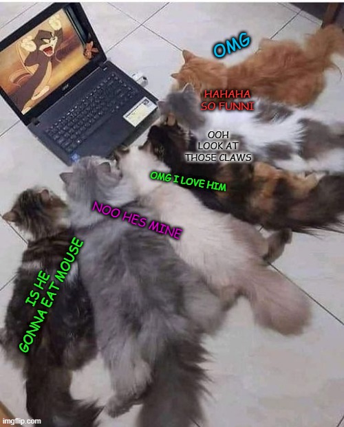 OMG; HAHAHA SO FUNNI; OOH LOOK AT THOSE CLAWS; OMG I LOVE HIM; NOO HES MINE; IS HE GONNA EAT MOUSE | image tagged in memes,msmg | made w/ Imgflip meme maker