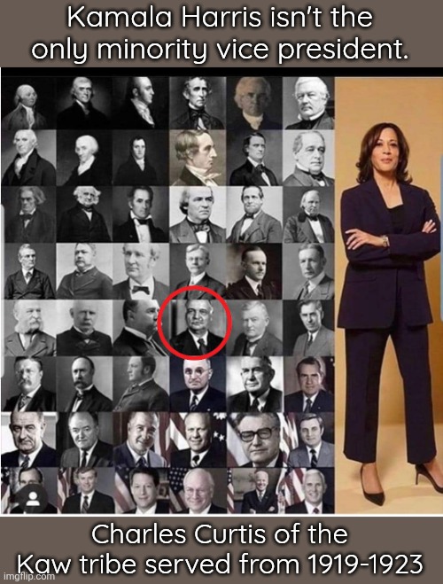 He swindled us just like any other politician though. | Kamala Harris isn't the only minority vice president. Charles Curtis of the Kaw tribe served from 1919-1923 | image tagged in vice president chart,native american,diversity | made w/ Imgflip meme maker