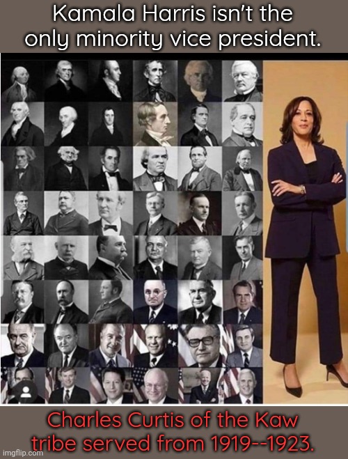 Originally posted to "politics" where it was buried in hate speech. | Kamala Harris isn't the only minority vice president. Charles Curtis of the Kaw tribe served from 1919--1923. | image tagged in vice president chart,native american,diversity | made w/ Imgflip meme maker