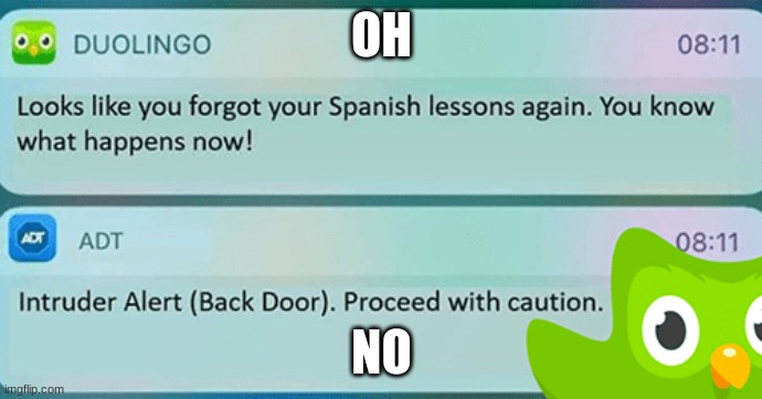 Duolingo nooooo | OH; NO | image tagged in duolingo is creepy,agreed | made w/ Imgflip meme maker