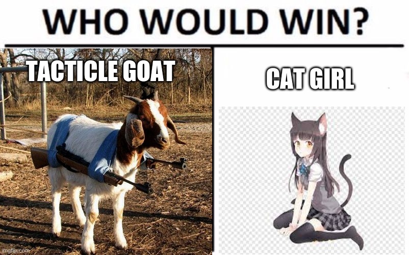 TACTICLE GOAT; CAT GIRL | made w/ Imgflip meme maker