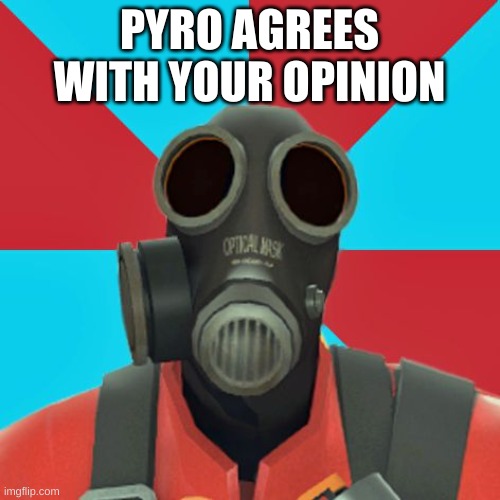 Paranoid Pyro | PYRO AGREES WITH YOUR OPINION | image tagged in paranoid pyro | made w/ Imgflip meme maker
