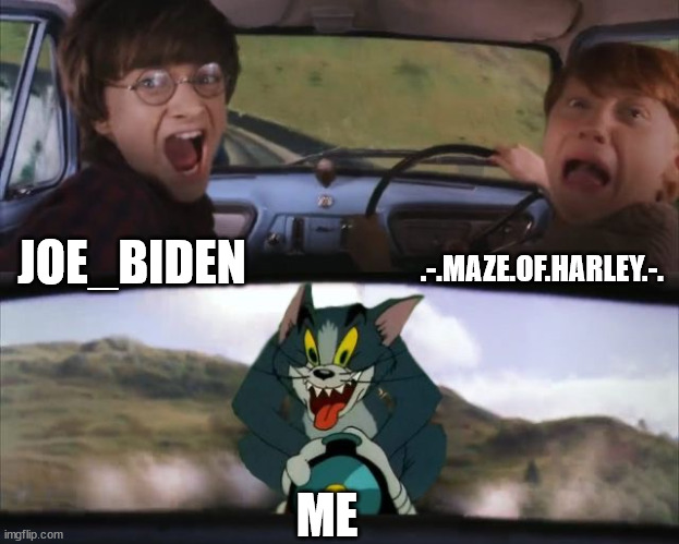 Tom chasing Harry and Ron Weasly | .-.MAZE.OF.HARLEY.-. JOE_BIDEN; ME | image tagged in tom chasing harry and ron weasly,memes | made w/ Imgflip meme maker