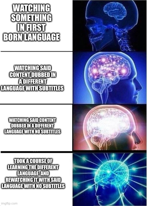 levels of intelligence | WATCHING SOMETHING IN FIRST BORN LANGUAGE; WATCHING SAID CONTENT DUBBED IN A DIFFERENT LANGUAGE WITH SUBTITLES; WATCHING SAID CONTENT DUBBED IN A DIFFERENT LANGUAGE WITH NO SUBTITLES; TOOK A COURSE OF LEARNING THE DIFFERENT LANGUAGE  AND REWATCHING IT WITH SAID LANGUAGE WITH NO SUBTITLES | image tagged in levels of intelligence | made w/ Imgflip meme maker