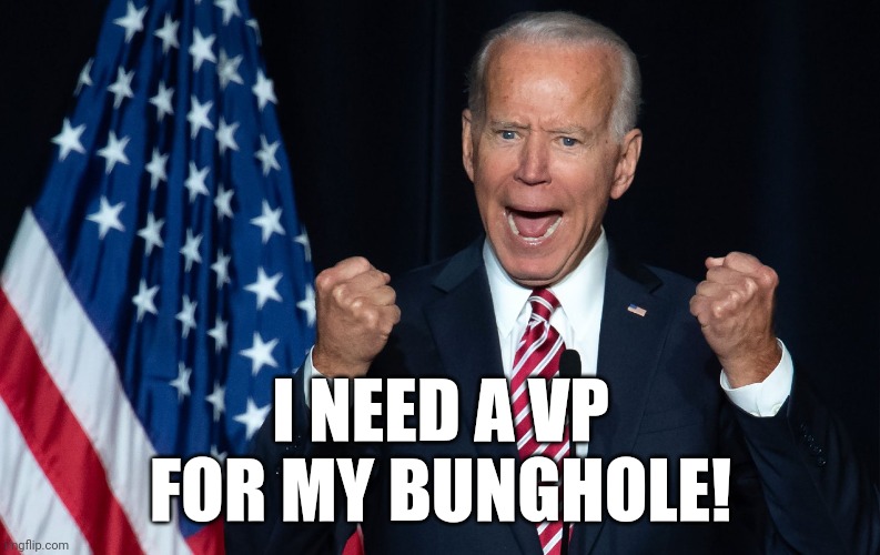 Biden Yell | I NEED A VP
FOR MY BUNGHOLE! | image tagged in biden yell | made w/ Imgflip meme maker