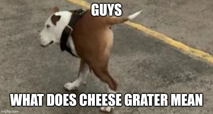 GUYS; WHAT DOES CHEESE GRATER MEAN | image tagged in gudjrjrhehehehrv | made w/ Imgflip meme maker