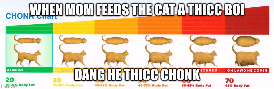 Chonk Chart | WHEN MOM FEEDS THE CAT A THICC BOI; DANG HE THICC CHONK | image tagged in chonk chart | made w/ Imgflip meme maker