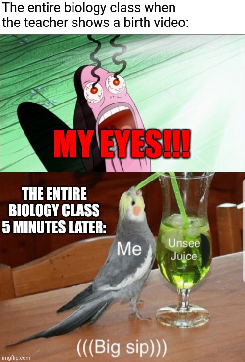Did this happen to you in high school? |  The entire biology class when the teacher shows a birth video:; MY EYES!!! THE ENTIRE BIOLOGY CLASS 5 MINUTES LATER: | image tagged in spongebob my eyes,unsee juice | made w/ Imgflip meme maker