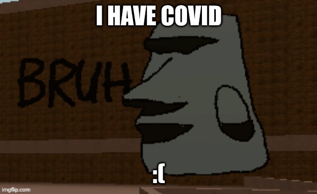 Bruh | I HAVE COVID; :( | image tagged in bruh | made w/ Imgflip meme maker