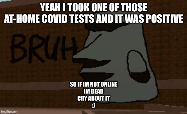 Bruh | YEAH I TOOK ONE OF THOSE AT-HOME COVID TESTS AND IT WAS POSITIVE; SO IF IM NOT ONLINE
IM DEAD
CRY ABOUT IT
:) | image tagged in bruh | made w/ Imgflip meme maker