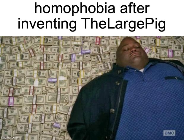 huell money | homophobia after inventing TheLargePig | image tagged in huell money | made w/ Imgflip meme maker