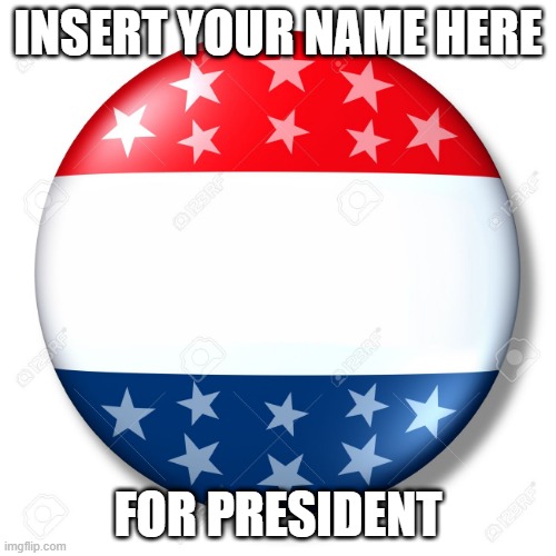 you for president | INSERT YOUR NAME HERE; FOR PRESIDENT | image tagged in blank for president | made w/ Imgflip meme maker