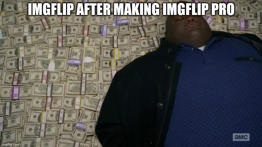 Man sleeping on money | IMGFLIP AFTER MAKING IMGFLIP PRO | image tagged in man sleeping on money | made w/ Imgflip meme maker