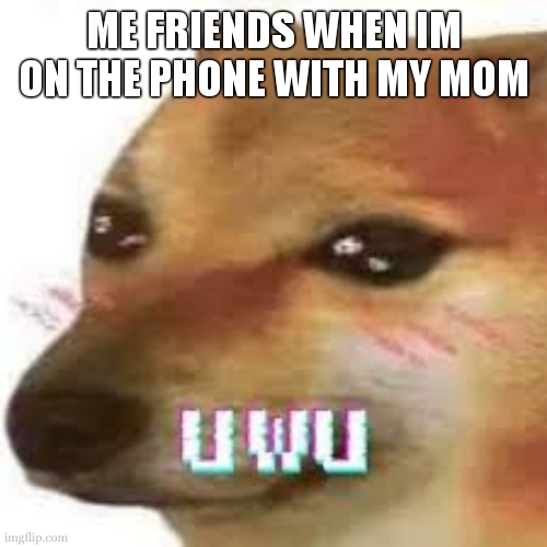 either uwu or they moan to hel and back | ME FRIENDS WHEN IM ON THE PHONE WITH MY MOM | image tagged in uwu cheems lucidream | made w/ Imgflip meme maker