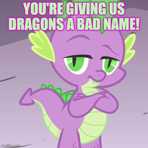 Disappointed Spike (MLP) | YOU'RE GIVING US DRAGONS A BAD NAME! | image tagged in disappointed spike mlp | made w/ Imgflip meme maker